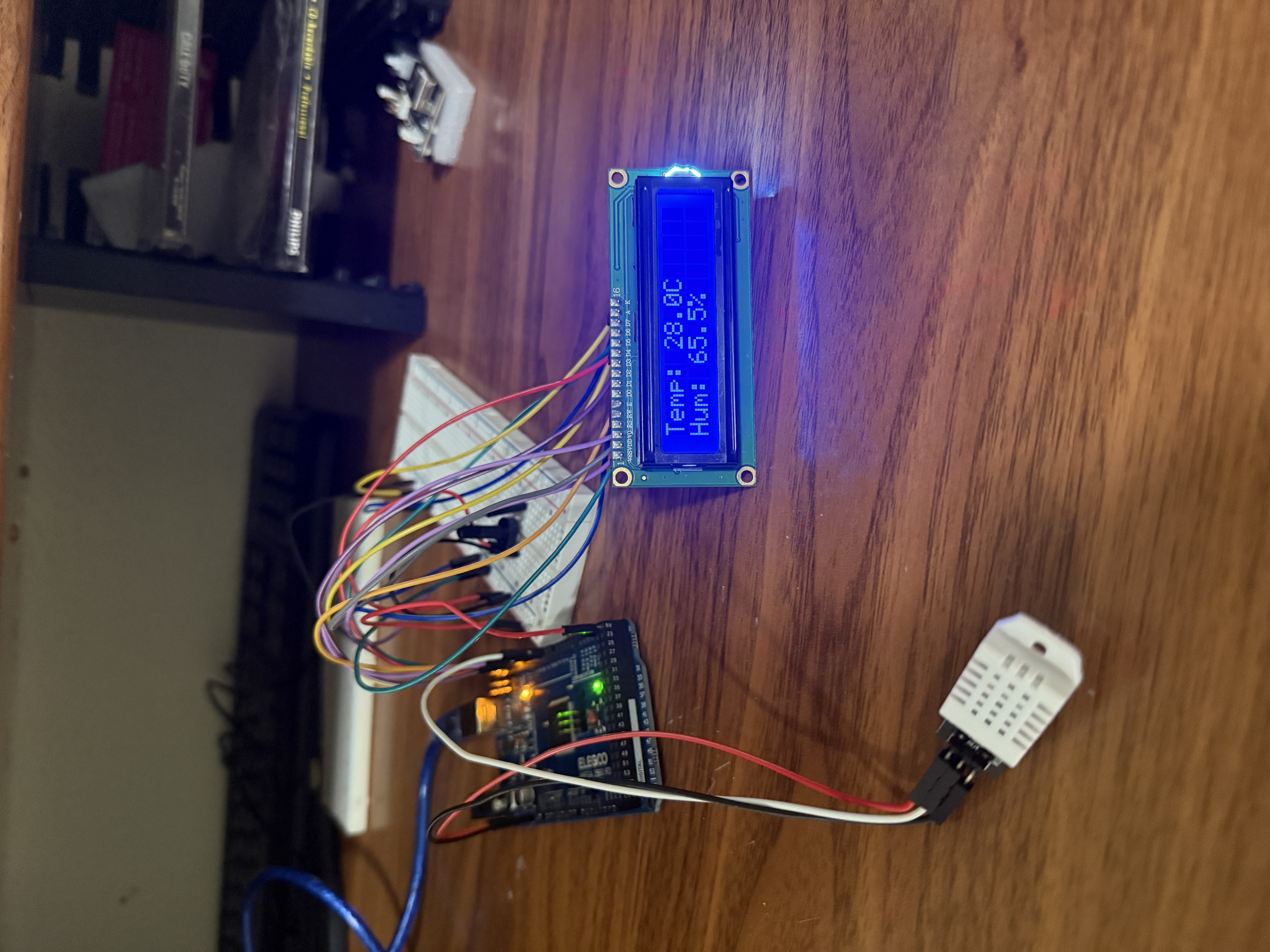 Temperature OLED Setup