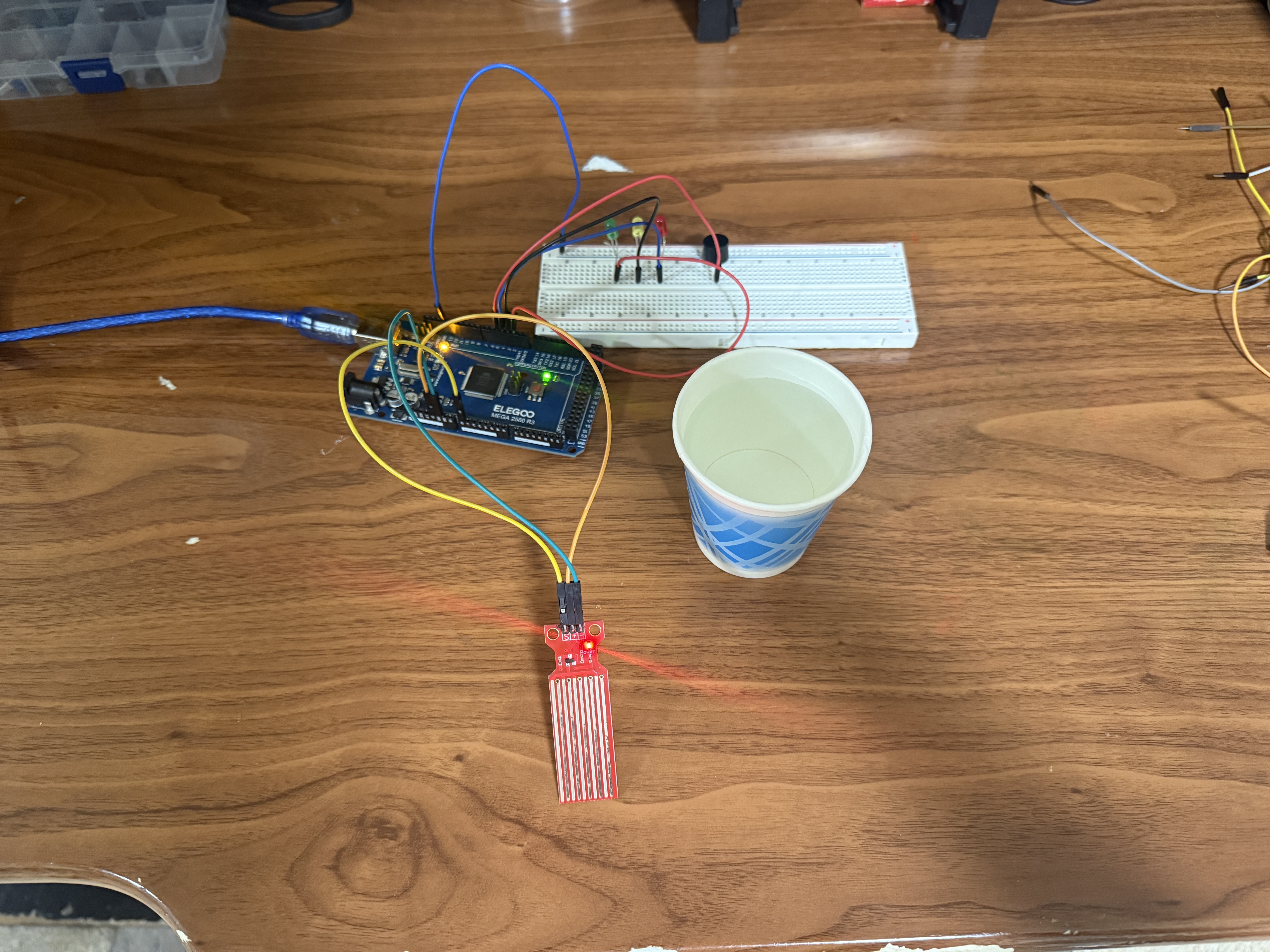 Water Level Detector